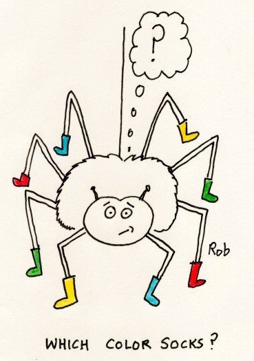 Nov15_spider